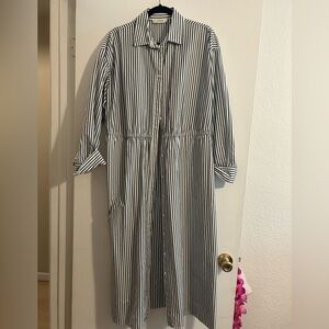 Everlane pinstriped Shirt Dress